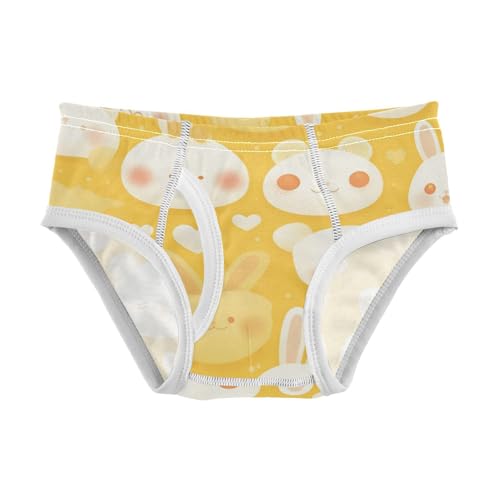 KLL Banner Toddler Boys' Comfort Briefs Breathable Undies