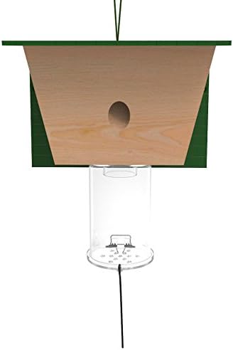 Best Bee Brothers Trap 2 Pack, BBT20004