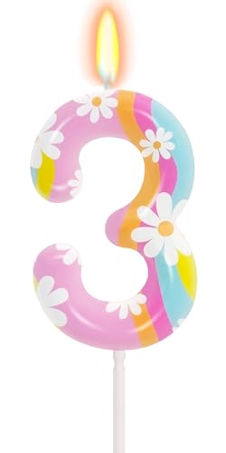 Daisy Birthday Candles for Girls - Number 3 Candle, Rainbow Cake Topper Pink Cake Decorations for Wild and Three Party Decorations