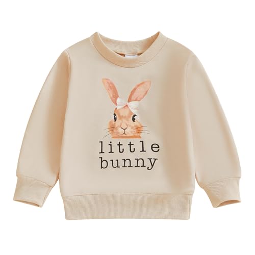 Toddler Baby Girl Boy Easter Outfits Bunny Embroidery Round Neck Long Sleeve Sweatshirt Pullover Top Fall Clothes