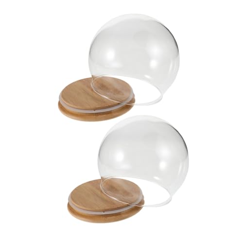Cúpula para flores preservadas HAMPPLIES vitrina protectora antidespolvoreo transparente de 12cm 2