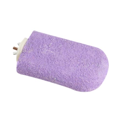 Bothyi Bird Perch Platform Parrot Stand Cage Accessories Trimmer Beak Grinding Stand for Canaries Caiques Paws Cockatiels, Purple