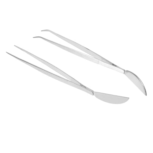 BCOATH Portable Bonsai Tweezers 2pcs Stainless Steel Gardening Tools Root Rake Ideal for Use