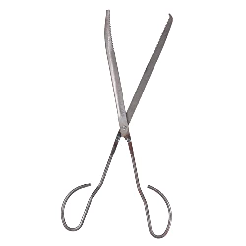 POPETPOP Pince à Ouverture Pour Homard Et Crabe Outil De Nettoyage Pratique Et Antidérapant