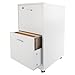File Cabinet - 2-Drawer Cabinet with Lock and Deep Drawer Storage - Rolling Filing Cabinet for Under The Desk, Home, or Office by Lavish Home (White)