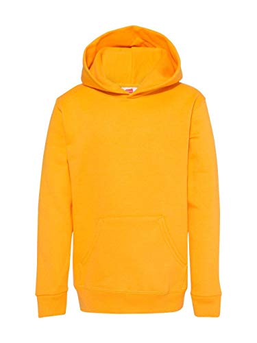 Youth EcoSmart Hooded Sweatshirt by Hanes2