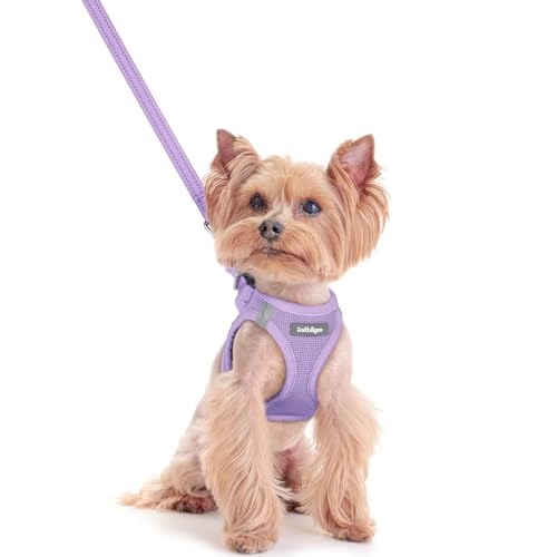 Image of rabbitgoo Dog Harness Small Sized and Leash Set, Step-in Puppy Pet Vest