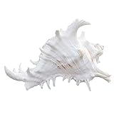 balkontisch mediterran Die empfindliche Verarbeitung macht es lebensähnlich und lebendig aussehen. Es wird eine schöne Szene für Ihr Aquarium bringen.