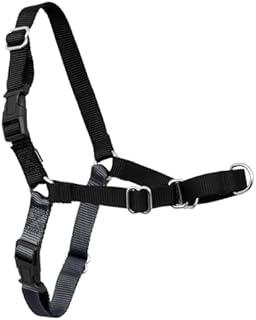 PetSafe Easy Walk