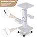 Esthetician Cart with Wheels and 2 Trays, 4 Tier Salon and Spa Equipment Trolley Carts, Beauty Machine Trolley, Load 135lbs