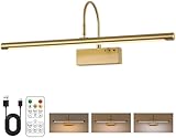 DarHorz Battery Operated Picture Light with Remote, 24 inch Wireless Rechargeable Art Light with Timer, Dimmable 3CCT Gallery Lighting for Paintings, Portraits, and Canvas (Brass, 23.6inch)