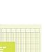 Staples 217893 Columnar Pads 13 Columns 11-Inch x 16 5/16-Inch Each