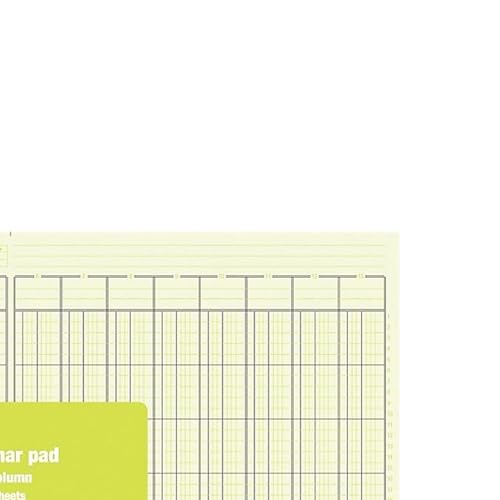 Feuille 13 colonnes Staples 28 x 41 cm tableau comptabilité papier - 3