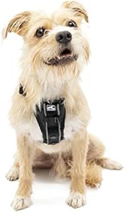 Kurgo Tru-Fit Smart
