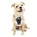 Kurgo Dog Harness | Pet Walking Harness | No Pull Harness Front Clip Feature for Training Included |Car Seat Belt | Tru-Fit Quick Release Style | Extra Small