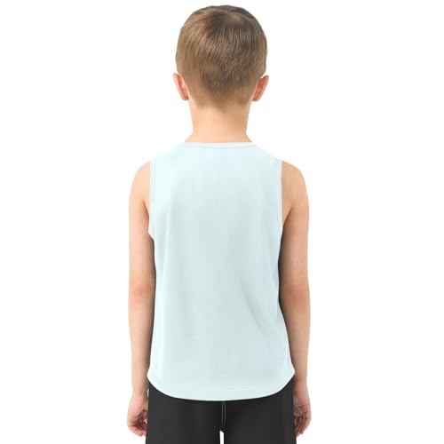 Birthday Party Cute Capybara Blue Boys Tank Top Sleeveless Quick Dry Athletic T-Shirts 3-10T3