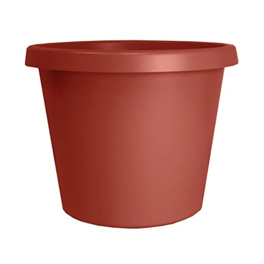 The HC Companies 8 Inch Round Prima Planter - Small Plastic Plant Pot with Rolled Rim for Indoor Outdoor Plants Flowers Herbs, Clay