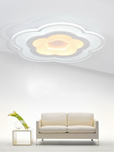 Woward LED Deckenleuchte aus Plexiglas Design; LED Deckenlampe von 16W bis 48W | Lichtfarbe: warmweiß + kaltweiß (16W | Lampe: B-2016 | nicht dimmbar) Cover