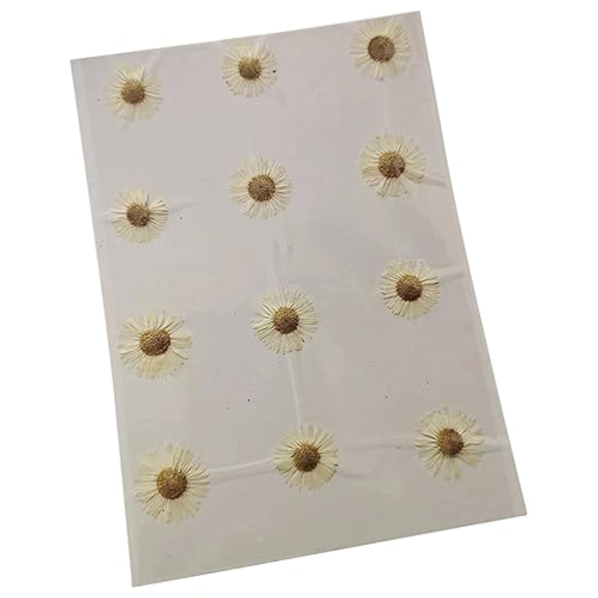 12x Dried Pressed Flowers DIY Art Crafts White