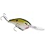 517 - Tennessee Shad