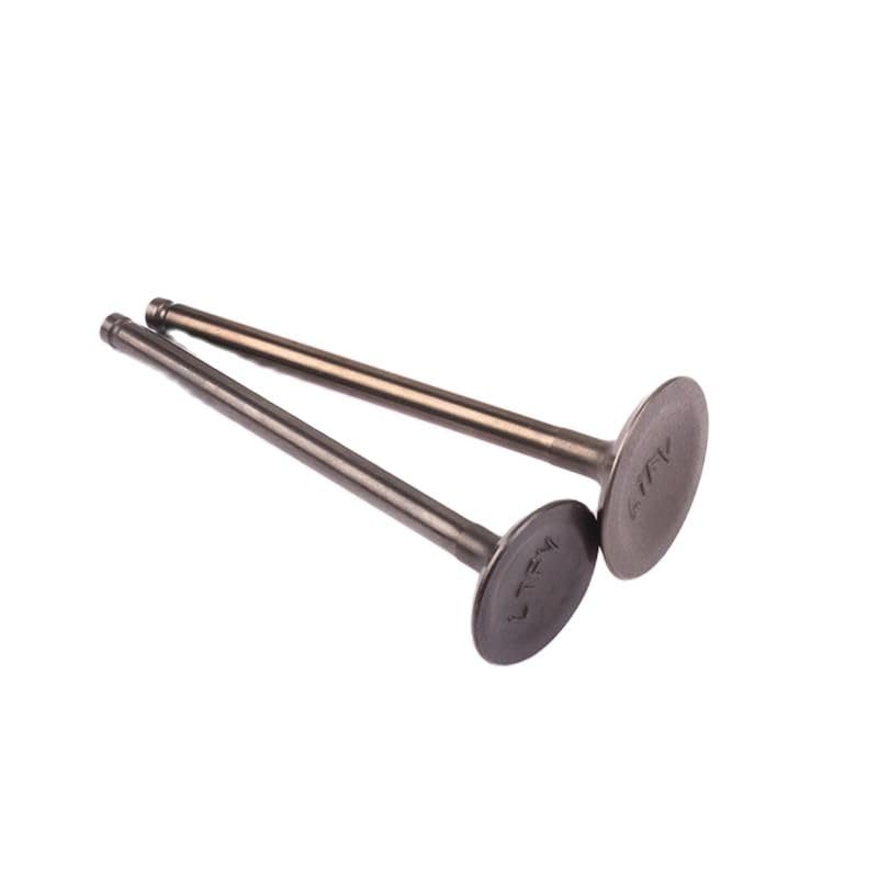 Aspirazione del motore motociclo per guarnizione dello stelo per Suzuki GW250 GW 250cc GSX250 250 DL250 DR300 per pezzi di ricambio Componenti per motociclette