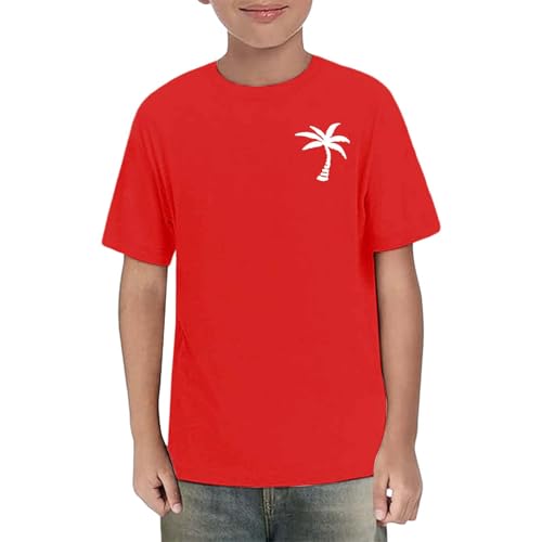 Boys Girls Pique Polo Shirts Short Sleeve Aesthetic Tops Palm Tree Active Sports Shirts Crewneck Tops School Uniform