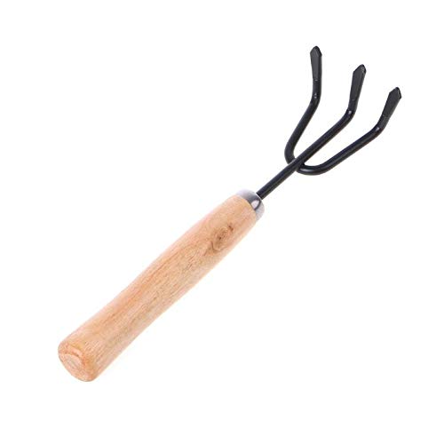 IMPRESSION LIGHTS eeds Spectacular Designer Specialty Garden Tools RAKE