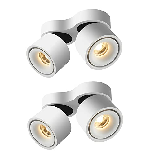 Spot LED d'intérieur double tête 10W réglable lot de 4 plafonniers