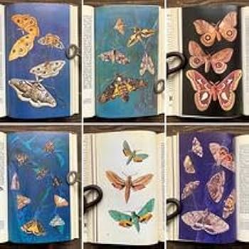 古い昆虫図鑑 Amazon.co.jp: ドイツの古い昆虫図鑑(KNAURS INSEKTEN BUCH 1968