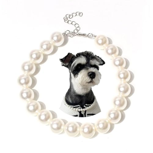 Image of Qiansail Dog Pearl Necklaces, Candy Color Necklace Adorable Pearl Collar Chihuahua York Clothing Dress Cute Fashion Pet Supplies for Puppy Kitten (White, L)