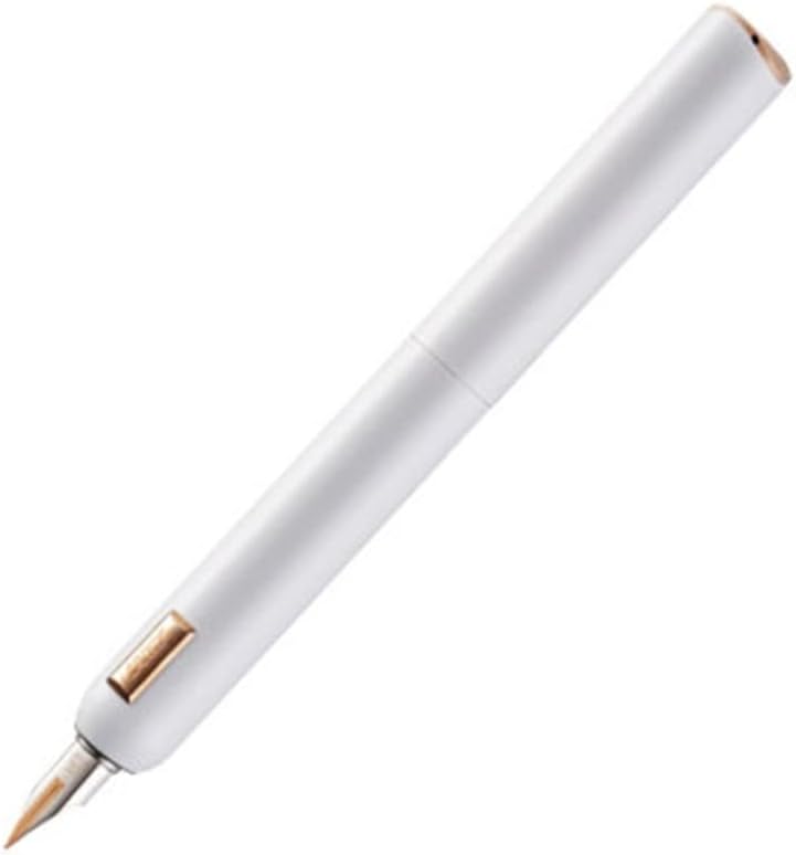 Business office writing supplies ink pen case stationery