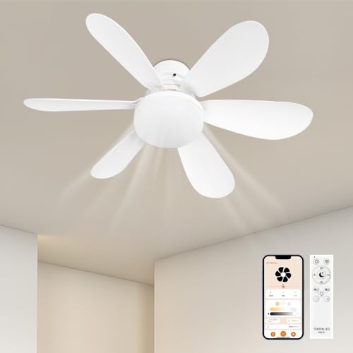 V[Ot@Cg 6 8 LED F É Rt DC[^[ E26 5H V[OCg  ʒ V[Ot@Cg T[L[^[ V[OCg DC V[Ot@ 8  y ^ t