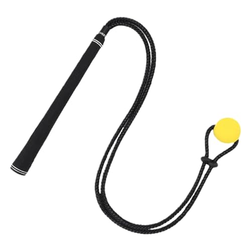 Adjustable Rope Swing Trainer