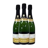 MasTinell Brut Nature Cava Gran Reserva 75 cl Espumoso blanco (Caja de 3 Botellas de 75 cl)