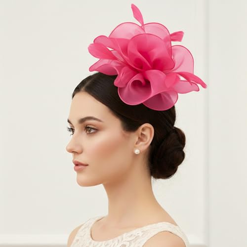 Image of DRESHOW Fascinators Hat Tea Party Headwear Ribbons Feathers on a Headband and a Clip for Women