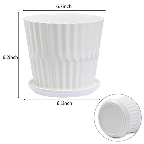 Plant-Pots-67-Inch-Cylinder-Ceramic-Planters-with-Connected-Saucer-Pots-for-Succuelnt-and-Little-Snake-Plants-Set-of-2-White Plant-Pots-67-Inch-Cylinder-Ceramic-Planters-with-Connected-Saucer-Pots-for-Succuelnt-and-Little-Snake-Plants-Set-of-2-White