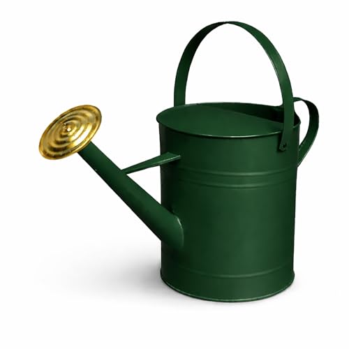 CrazyGadget Garden Plant Flower Colour Galvanised Metal Steel Watering Can 9L 9 Litre / 2 Gallon with Brass Rose (Dark Green)