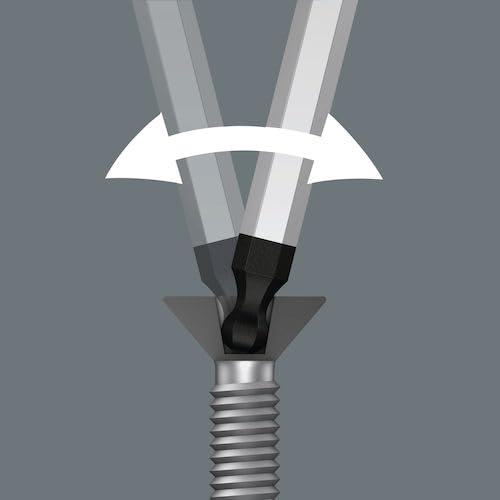 3950 Pkl Hex-Plus 10,0 - 4