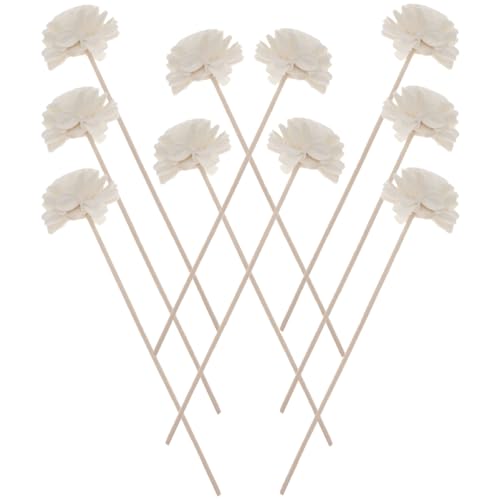 GLSTOY 10  A}eeBbN gUpւXeBbN Rȍ莝 p[hfBt[U[ ItBX z[p