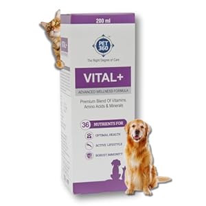 PET360 Vital+ Advanced Wellness Formula for Dogs & Cats | Multivitamin Syrup for Healthy Skin, Joints & Boosted Immunity | Nutritional Supplement with Vitamins & Minerals for Enhanced Growth – 200 ml