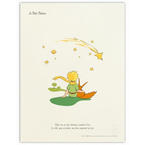 Poster Le Petit Prince et l'étoile filante Oneart 30x40cm idée cadeau