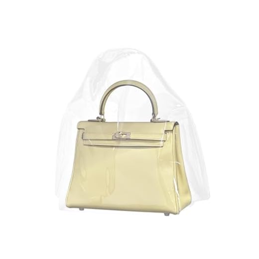 DGAZ Clear Dust Bags for Handbags