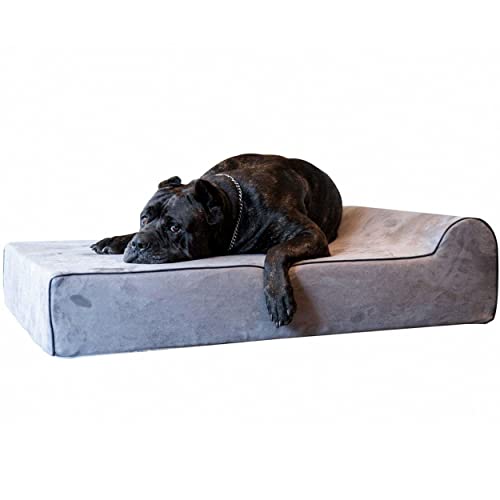 Top 20 Best Dog Beds For Arthritic Dogs Reviews 2022 BNB