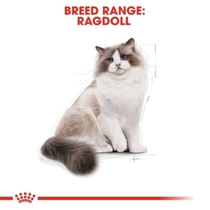 Amazon | ロイヤルカナン FBN ラグドール 成猫用 2kg | ロイヤル