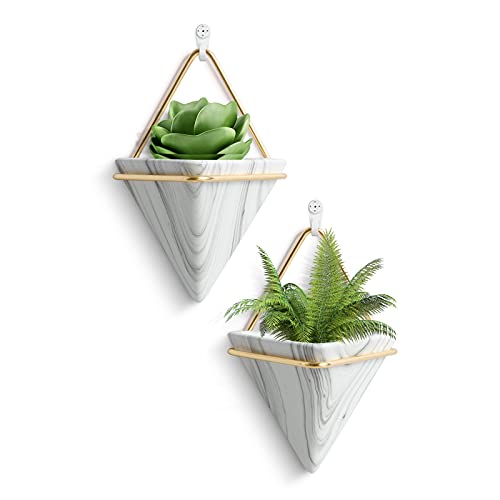 FairyLavie Maceta colgante de 10 cm Cover