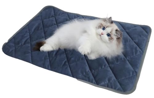 ybgpzbg}bg L  uPbg ̉Œ~M dCsp ybgq[^[ Iۉ g L xbh}bg 􂦂 ӂӂ  ~ ΍ 40×50cm (u[)