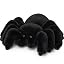 Black Spider