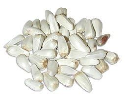 SANJU Safflower Seeds, Kusum Beej for Birds 1000 Grams (B0D39DRLJL) Amazon Price History, Amazon Price Tracker