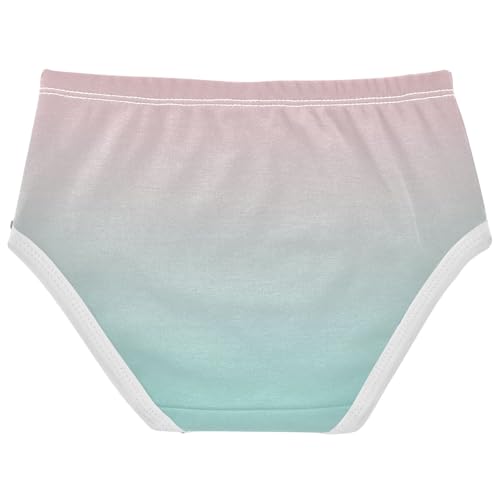 Joisal Blush Pink Green Blue Gradient Panties Little Girl Toddlers Underwear Floral Cotton Bright Kids Undies Briefs 2t2