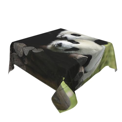 Nappe carrée panda 152x152 cm imperméable pour table à manger - 7